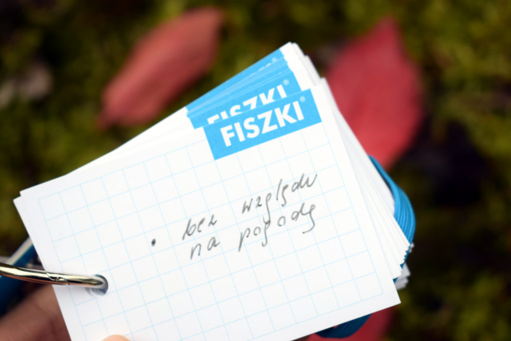 Fiszka in blanco bez względu na pogodę