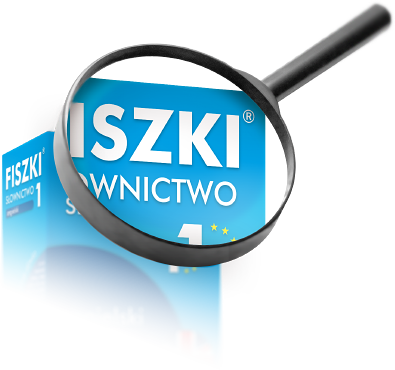 oryginalne fiszki