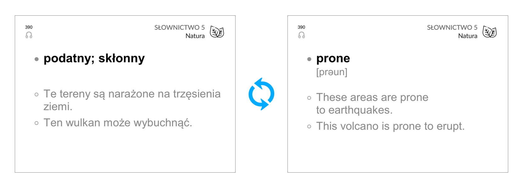 Fiszka