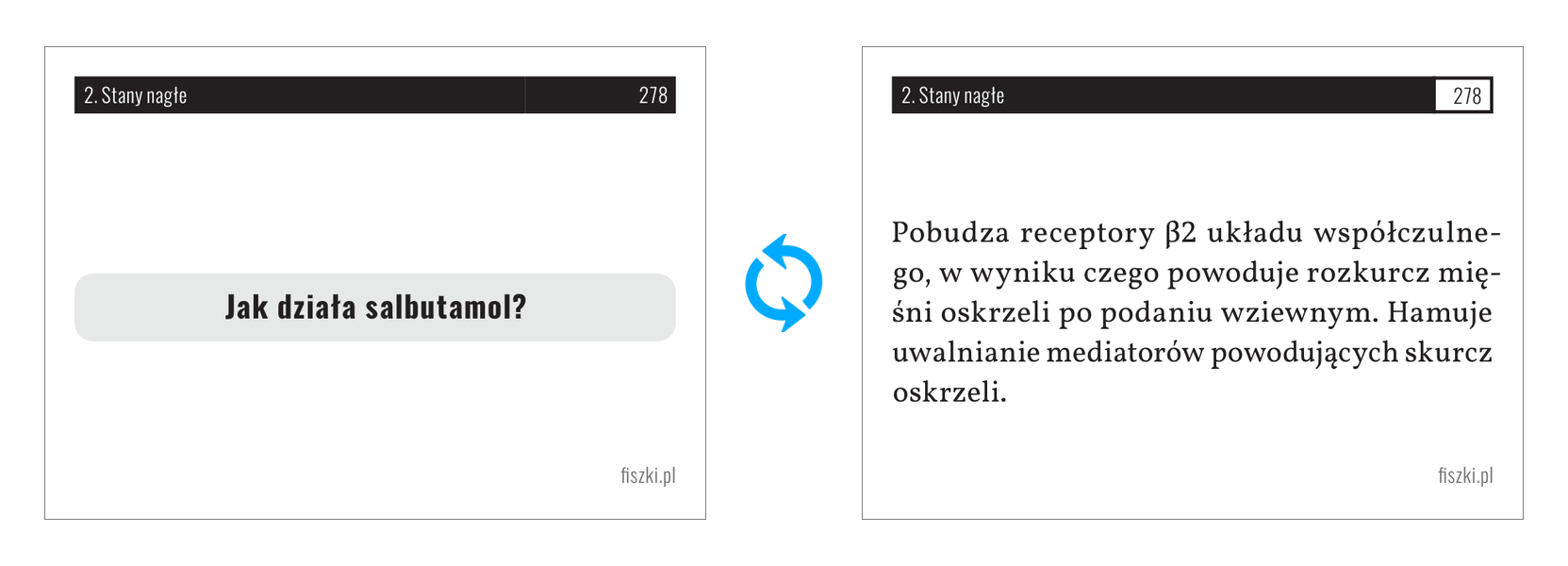 Fiszka